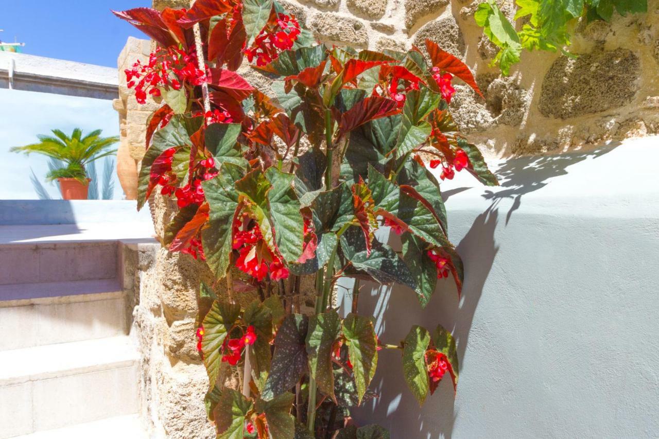 Colours - Old Town - Studios Rhodes City Екстер'єр фото